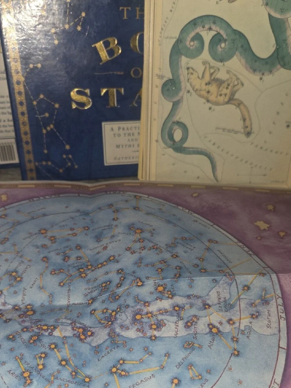 The Box of Stars Decorative Book — Navy with Gold Foil